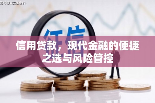 麻江信用贷款，现代金融的便捷之选与风险管控