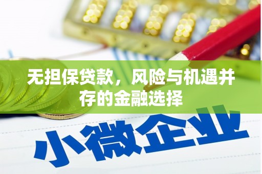 麻江无担保贷款，风险与机遇并存的金融选择
