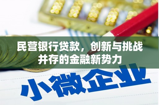麻江民营银行贷款，创新与挑战并存的金融新势力