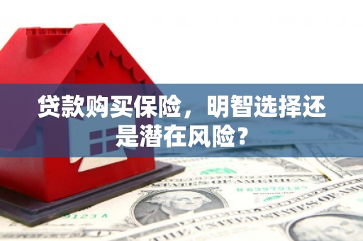 麻江贷款购买保险，明智选择还是潜在风险？