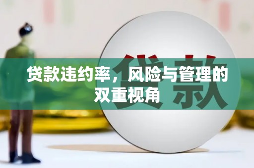 麻江贷款违约率，风险与管理的双重视角