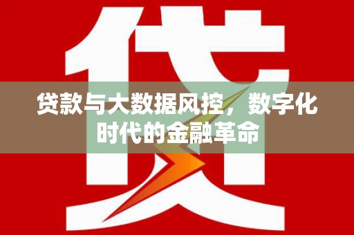麻江贷款与大数据风控，数字化时代的金融革命