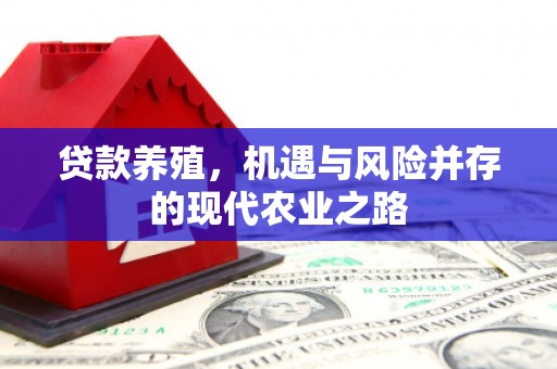麻江贷款养殖，机遇与风险并存的现代农业之路