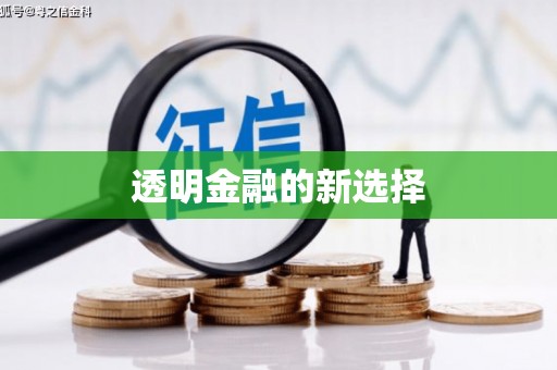 麻江透明金融的新选择