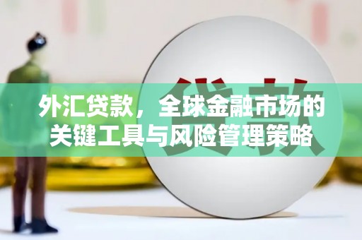 麻江外汇贷款，全球金融市场的关键工具与风险管理策略