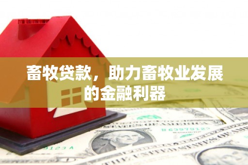 麻江畜牧贷款，助力畜牧业发展的金融利器