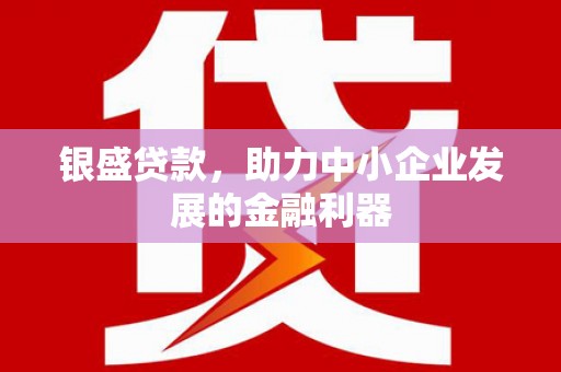 麻江银盛贷款，助力中小企业发展的金融利器