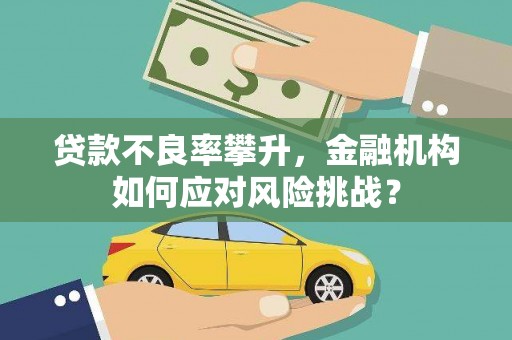 麻江贷款不良率攀升，金融机构如何应对风险挑战？