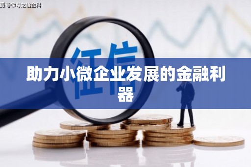 麻江助力小微企业发展的金融利器