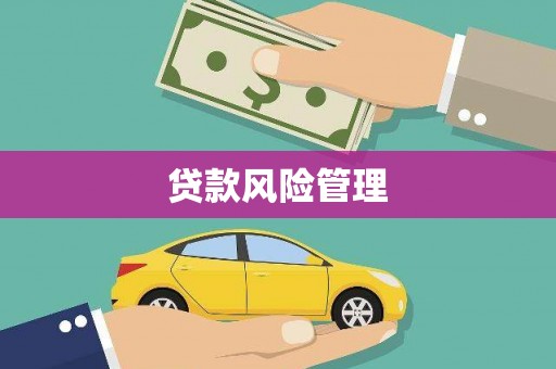 麻江贷款风险管理