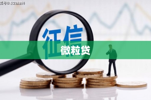 麻江微粒贷