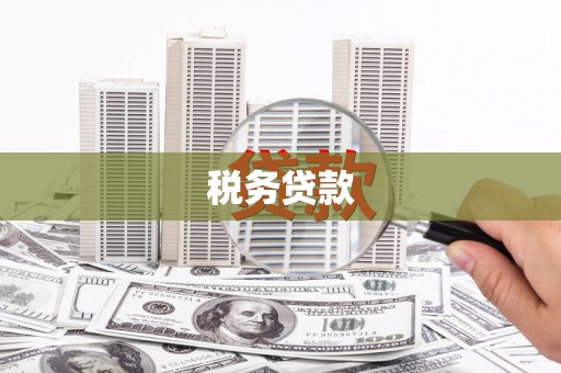 麻江税务贷款