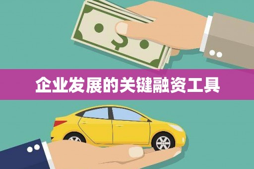 麻江企业发展的关键融资工具