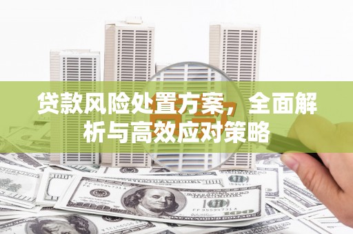 麻江贷款风险处置方案，全面解析与高效应对策略