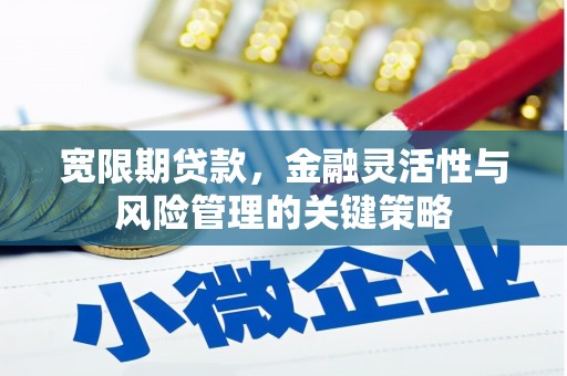麻江宽限期贷款，金融灵活性与风险管理的关键策略