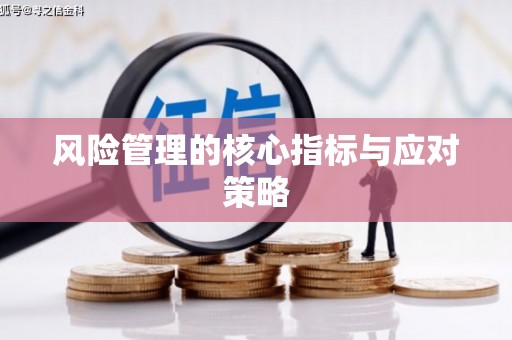麻江风险管理的核心指标与应对策略
