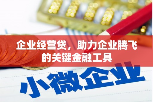 麻江企业经营贷，助力企业腾飞的关键金融工具