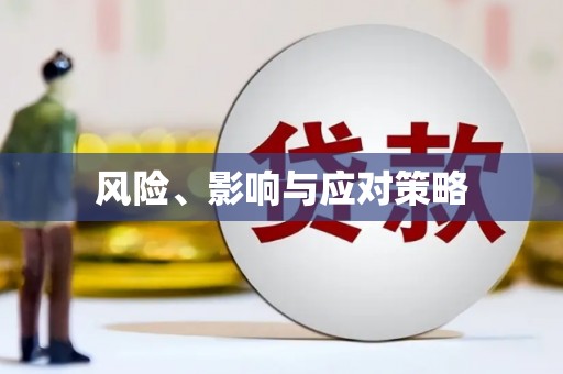 麻江风险、影响与应对策略