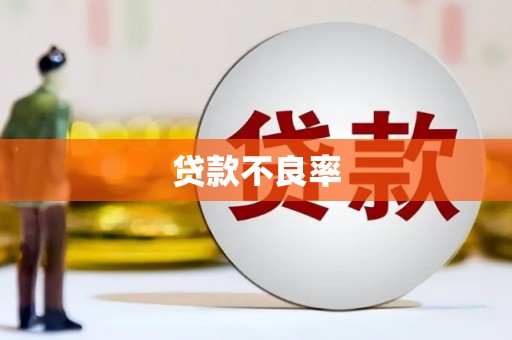 麻江贷款不良率