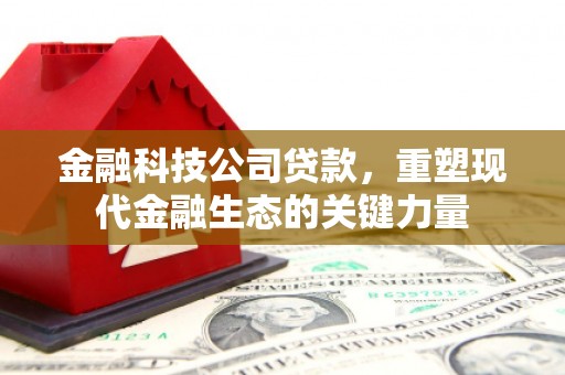 麻江金融科技公司贷款，重塑现代金融生态的关键力量