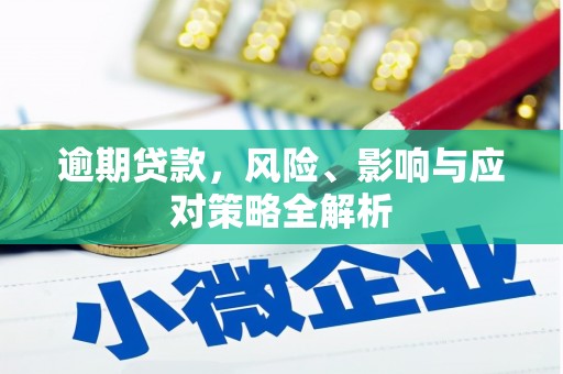 麻江逾期贷款，风险、影响与应对策略全解析
