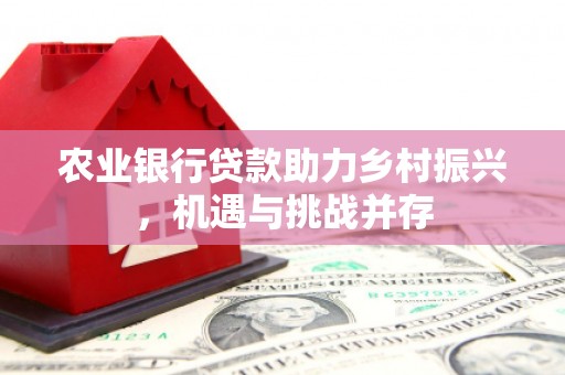 麻江农业银行贷款助力乡村振兴，机遇与挑战并存