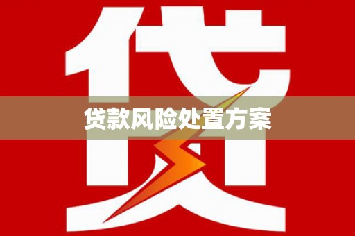 麻江贷款风险处置方案