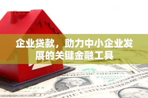 麻江企业贷款，助力中小企业发展的关键金融工具