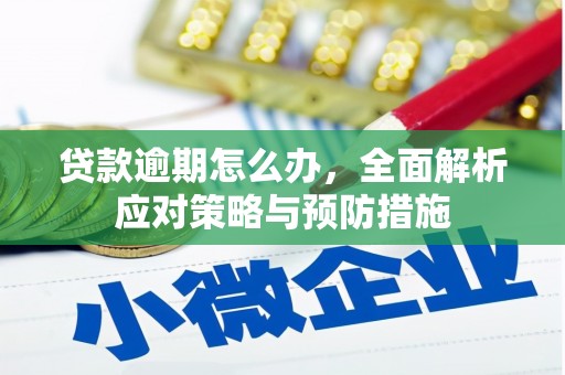 麻江贷款逾期怎么办，全面解析应对策略与预防措施