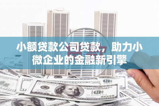 麻江小额贷款公司贷款，助力小微企业的金融新引擎