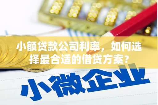 麻江小额贷款公司利率，如何选择最合适的借贷方案？