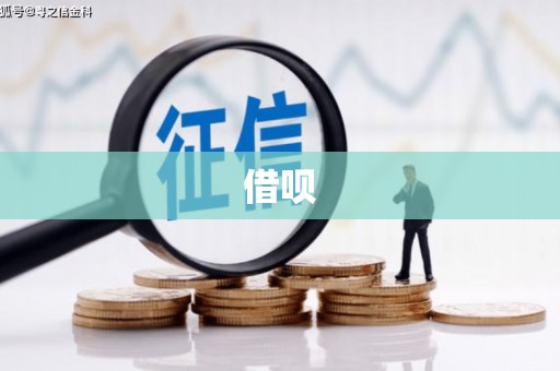 麻江借呗