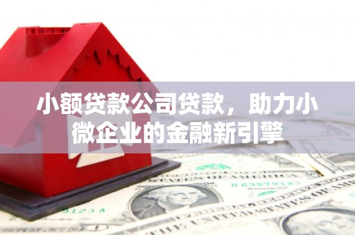 麻江小额贷款公司贷款，助力小微企业的金融新引擎