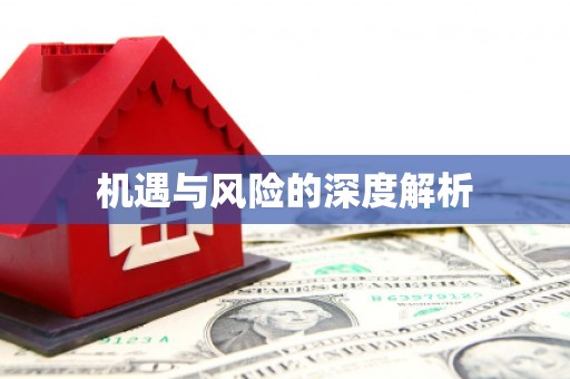 麻江机遇与风险的深度解析