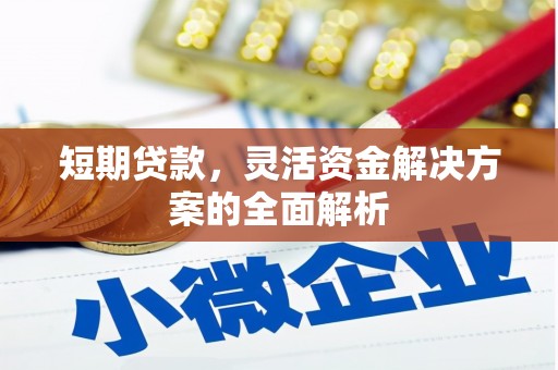 麻江短期贷款，灵活资金解决方案的全面解析