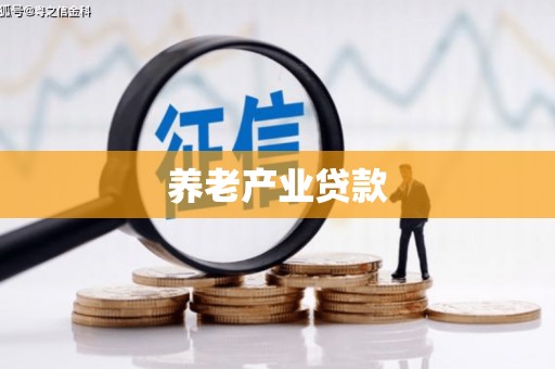 麻江养老产业贷款