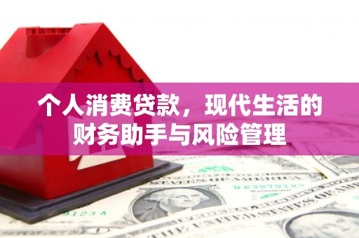 麻江个人消费贷款，现代生活的财务助手与风险管理