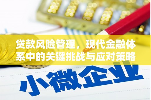 麻江贷款风险管理，现代金融体系中的关键挑战与应对策略