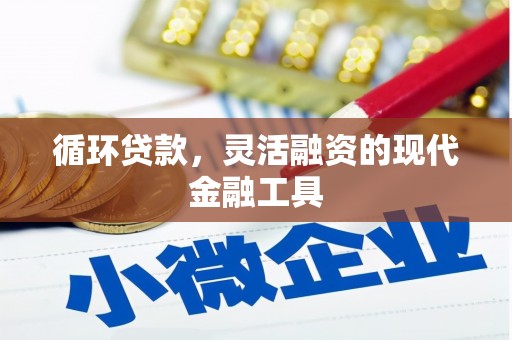 麻江循环贷款，灵活融资的现代金融工具