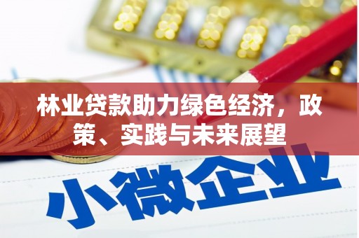 麻江林业贷款助力绿色经济，政策、实践与未来展望