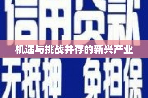 麻江机遇与挑战并存的新兴产业