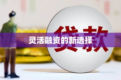 麻江灵活融资的新选择