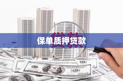 麻江保单质押贷款