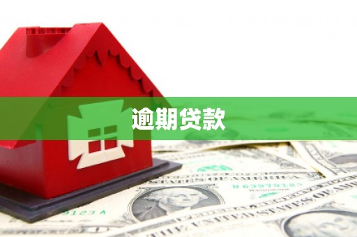 麻江逾期贷款
