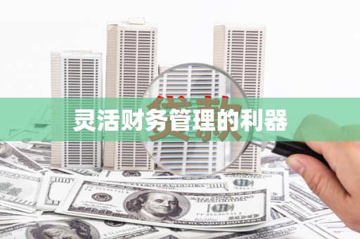 麻江灵活财务管理的利器