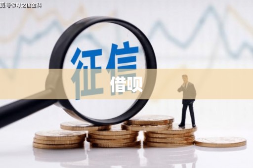 麻江借呗