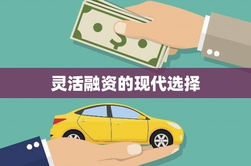 麻江灵活融资的现代选择