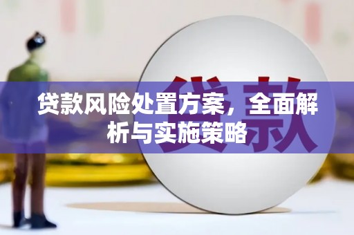 麻江贷款风险处置方案，全面解析与实施策略