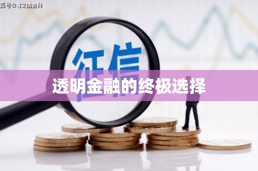 麻江透明金融的终极选择