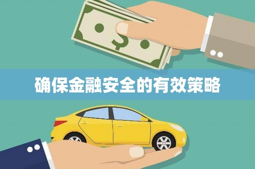 麻江确保金融安全的有效策略